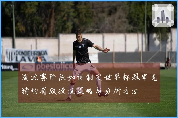 淘汰赛阶段如何制定世界杯冠军竞猜的有效投注策略与分析方法