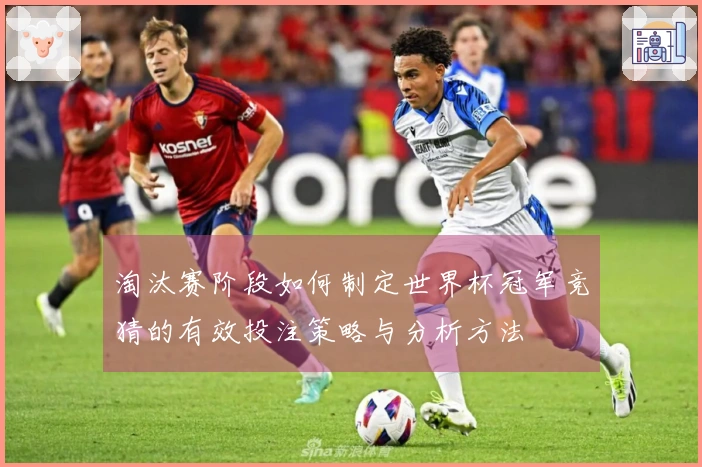 淘汰赛阶段如何制定世界杯冠军竞猜的有效投注策略与分析方法
