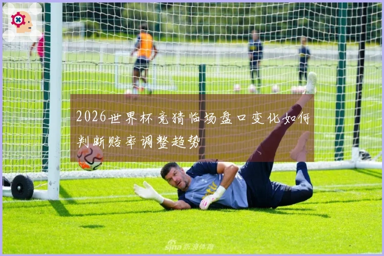 2026世界杯竞猜临场盘口变化如何判断赔率调整趋势