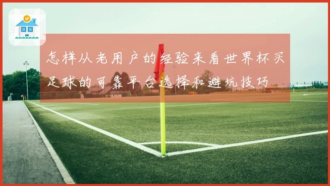 怎样从老用户的经验来看世界杯买足球的可靠平台选择和避坑技巧