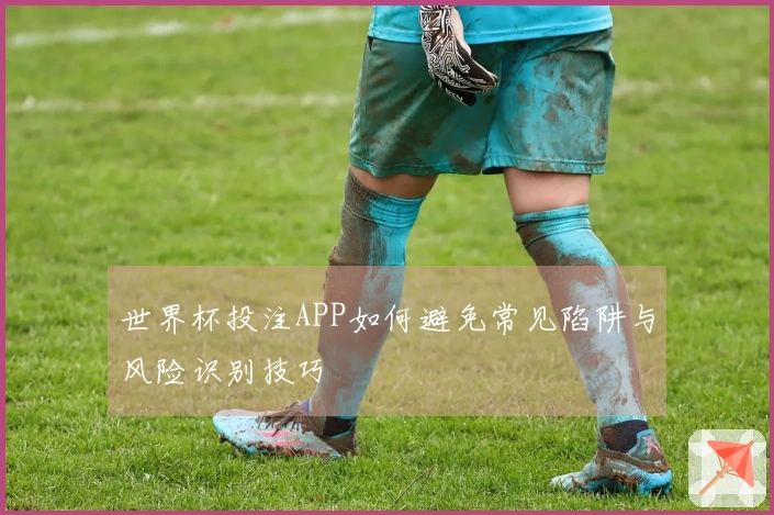 世界杯投注APP如何避免常见陷阱与风险识别技巧